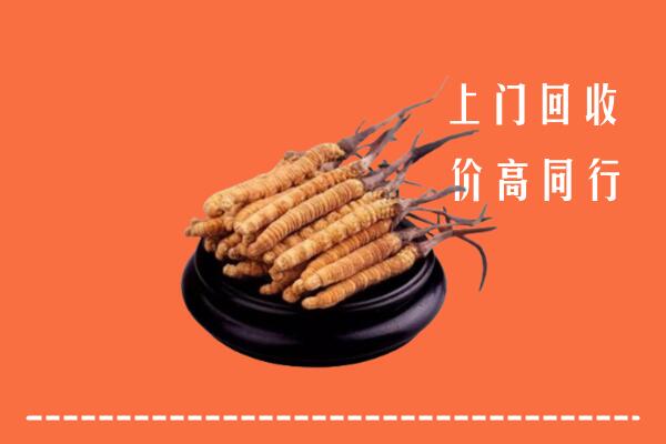 高价求购：宝塔区回收散虫草