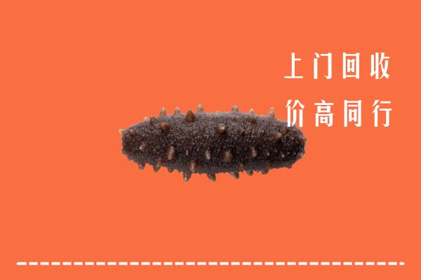 宝塔区回收海参