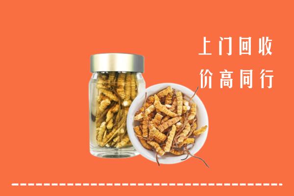 宝塔区回收冬虫夏草